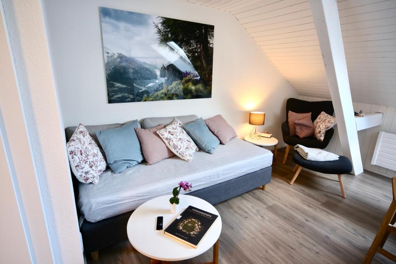 Alp Apartments Centre Location With Traditional Design And Self Check-In Энгельберг Экстерьер фото